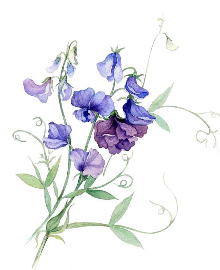 おもちゃ-テスト-新製品01