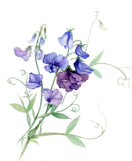 Toys-test-new-product01