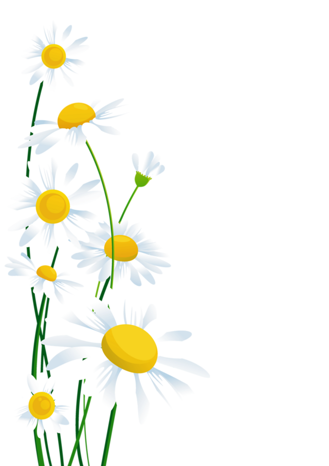 おもちゃ-テスト-新製品02