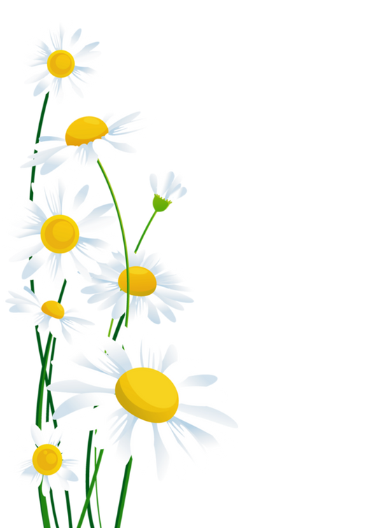 Toys-test-new-product02