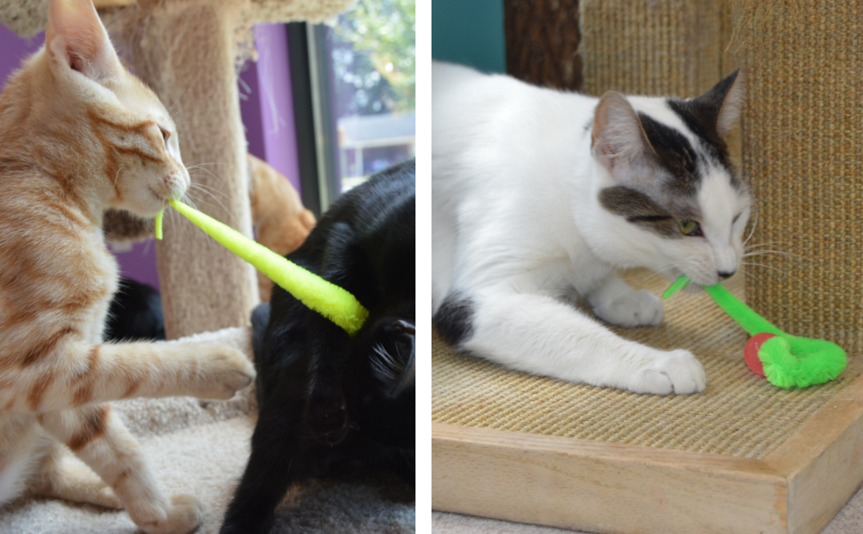 Wiggly Balls Cat Bell Toys