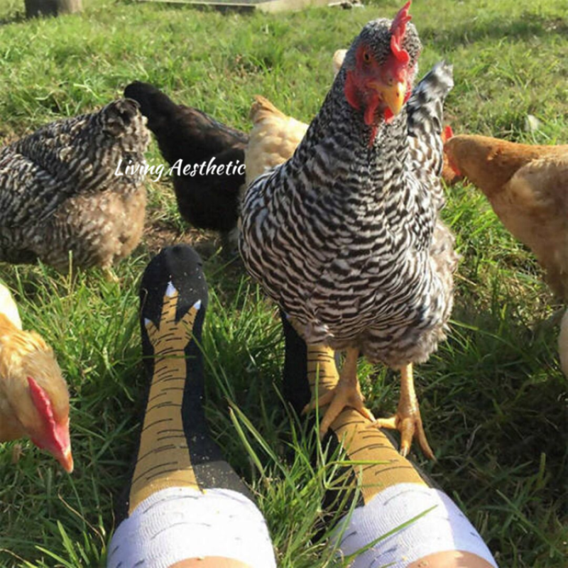 id 6799 Chicken Legs Socks🔥Christmas Socks Funny Gift🎁📣50% OFF
