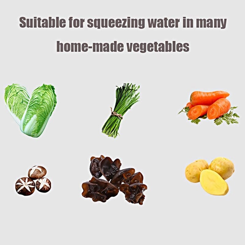 Vegetable Dryer